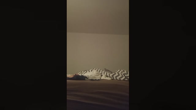 laurasexandfun7  25-01-2023